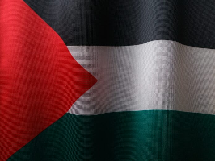 Palestina flagg tekstur