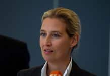 AfD og Putin-rådgiver planlegger gassamtaler