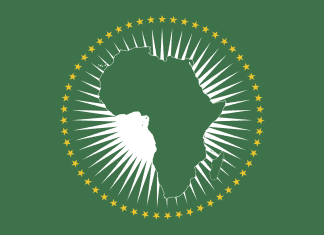 Tjuefem år med afrikansk makt: lederne som har formet århundret