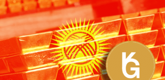 USDKG-gull-stablecoin