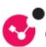 Check Point Software Technologies Ltd