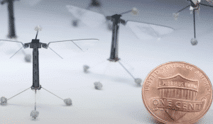 Myggdroner-USA-cent