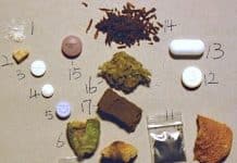 Et århundre med illegale rusmidler 1925–2025 🔒