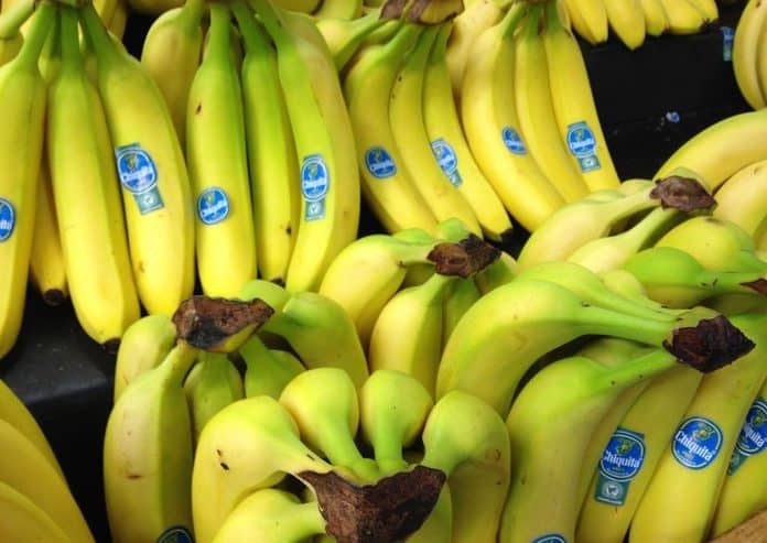 Bananer-Chiquita-banan