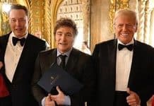 Alliansen mellom libertarianere og populister – et ideologisk blindspor 🔒