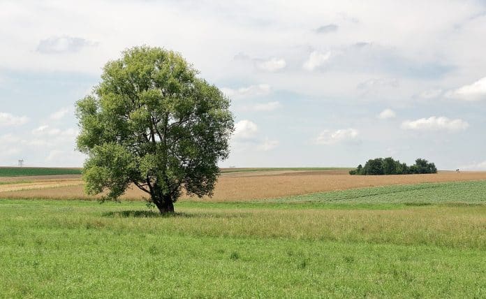 Polen-jorder-landbruk-jordbruk
