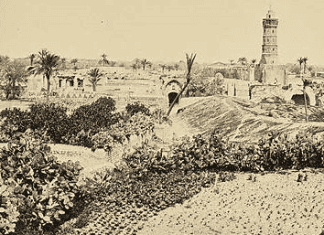 Tyrkia vender tilbake til Palestina