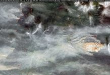 Den globale spredningen av brannstiftelse som terrorvåpen 🔒