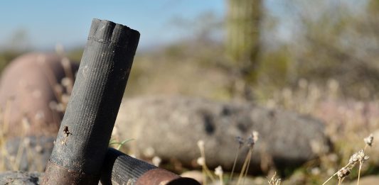 Hagle-patron-bly-forbud-EU