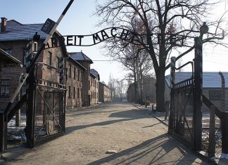 Når historien blir for krevende: Auschwitz, 7. oktober – og Vestens strategiske selvforvitring