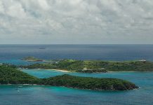 Epstein-nettverket og honningfellens geopolitikk 🔒