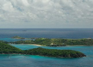 Epstein-nettverket og honningfellens geopolitikk 🔒