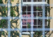 Usynlige grenser: Det intra-afrikanske rasismen trer frem 🔒