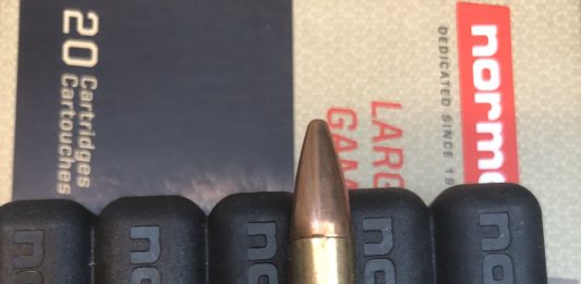 Norma-ammo-30-06