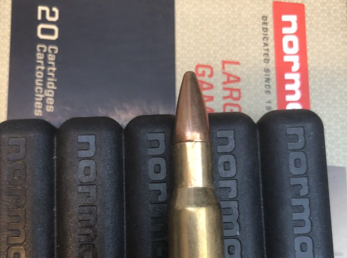 Norma-ammo-30-06