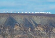 Den nye maktkampen går gjennom kabler, satellitter og data 🔒