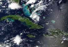 Karibia som USAs bakgård 🔒