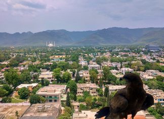 På rett sted, til rett tid? Pakistans rolle i våpenhvilen mellom USA, Israel og Iran