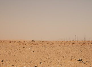 Hvorfor Saudi-Arabias overlevelse står på spill