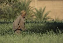 Hvordan blir man araber? En historisk og sosial studie 🔒