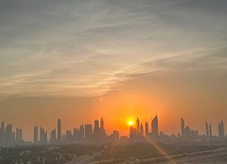 De forente arabiske emirater: Når tillit blir en strategisk kapital