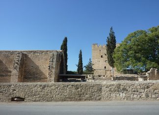 Venezia og det hvite gullet: sukker, imperium og Middelhavet 🔒