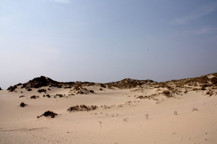 Sanddyner ved kysten