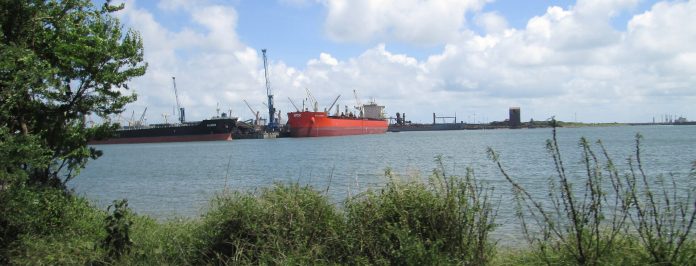 Utsikt over Paradip havn